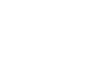 Logo picos